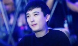 刘特黑料爆料视频,视频爆料背后的真相与争议