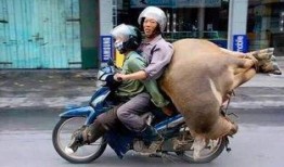 吃鸡皮肤爆料最新摩托,吃鸡新皮肤引爆期待！